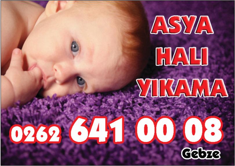 Asya Hali Yikama Sivas